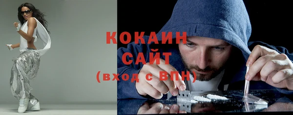 соль ск Алзамай