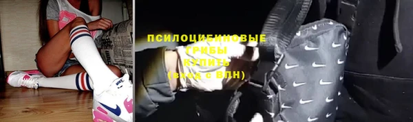 соль ск Алзамай