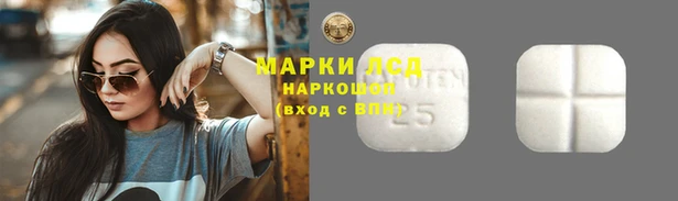 соль ск Алзамай