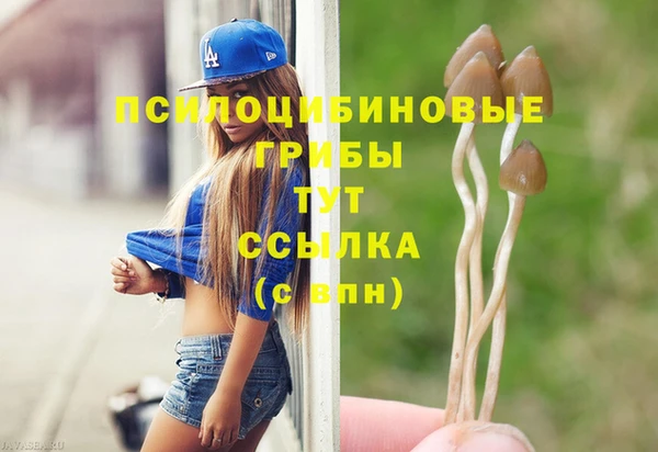 mdpv Алексин