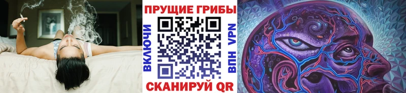Псилоцибиновые грибы Psilocybe  где купить наркоту  Серов 